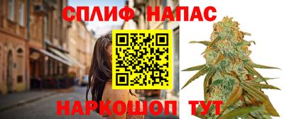 прущие крисы Аргун