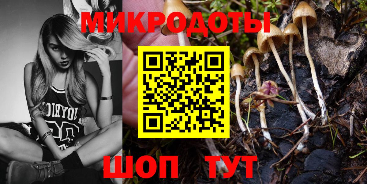 Рославль  Галлюциногенные грибы прущие грибы  Вход с VPN 